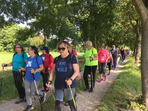 Activa't amb la natura a Melianta